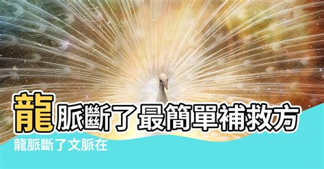 斷龍脈 意思|【斷龍脈】揭密「斷龍脈」的真實面貌：合法與禁忌的界線 – 每日。